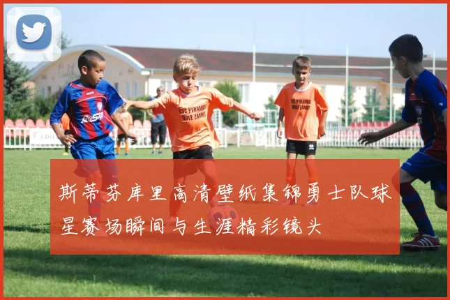 斯蒂芬库里高清壁纸集锦勇士队球星赛场瞬间与生涯精彩镜头